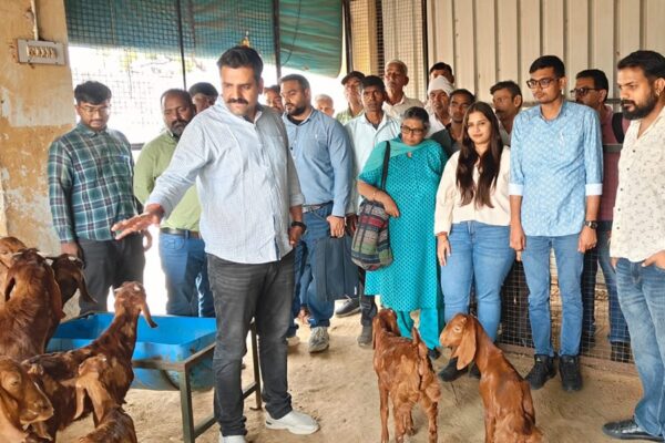 Goat Farming : बकरीपालन में है कम लागत,अधिक मुनाफा