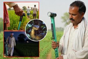Kisan Mitra Chhadi : सांपों से सुरक्षा देती ‘किसान मित्र छड़ी’