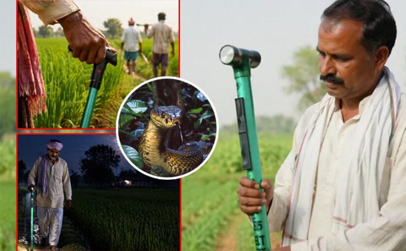 Kisan Mitra Chhadi : सांपों से सुरक्षा देती ‘किसान मित्र छड़ी’