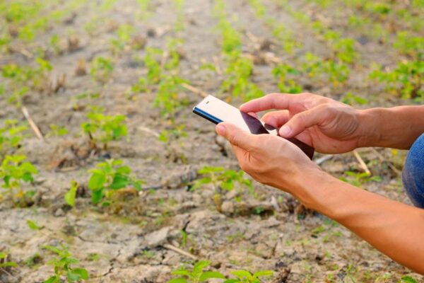 Soil Testing : अब किसान खुद करेगा अपने मोबाइल से मिट्टी की जांच