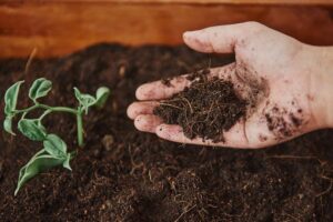 Fertilizers in Agriculture : खेती में संतुलित उर्वरक, आज की जरूरत