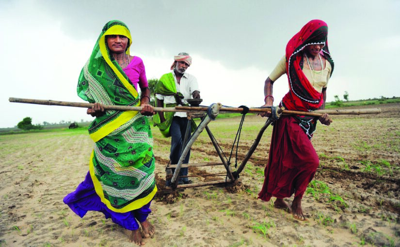 Women Farmers : कौन सुध लेगा महिला किसानों की?