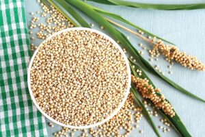 Varieties of Jawar : ज्वार की उन्नत प्रजातियां