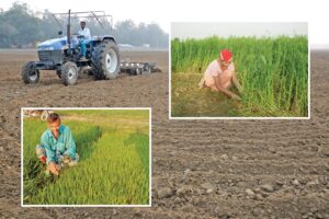 Agriculture in May : खेती से जुड़े मई के अहम काम
