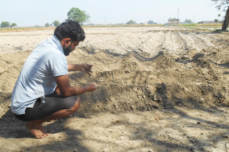 Soil Sample : जांच के लिए मिट्टी का सही नमूना लेने का तरीका