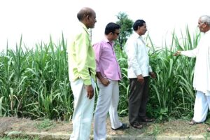Sugarcane Farmers  : गन्ना किसानों का नए तरीके से होगा सर्वे
