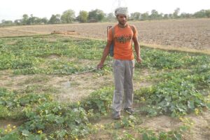 Fake Pesticides : किसानों से खिलवाड़, नकली कीटनाशकों का बढ़ता बाजार