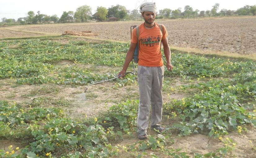 Fake Pesticides : किसानों से खिलवाड़, नकली कीटनाशकों का बढ़ता बाजार