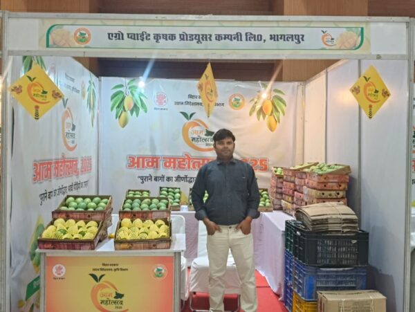 Mango Farming to Export Mango Farming to Export
