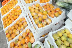 Horticulture :  भारतीय फलों की दुनिया में बनेगी पहचान