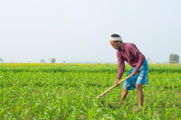 Compost and Bio-Fertilizers :  कंपोस्ट और जैव उर्वरकों पर करें फोकस