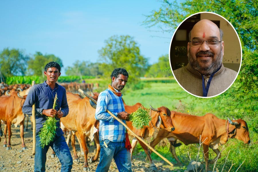 Bastar :  बस्तर में खेती, डेयरी और सहकारिता से बढ़ेगी आत्मनिर्भरता