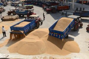 Wheat at Support Price : गेहूं खरीदी में लक्ष्य से पीछे मध्य प्रदेश