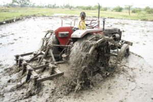 Process of Puddling: धान की खेती के लिए खेत कैसे तैयार करें?