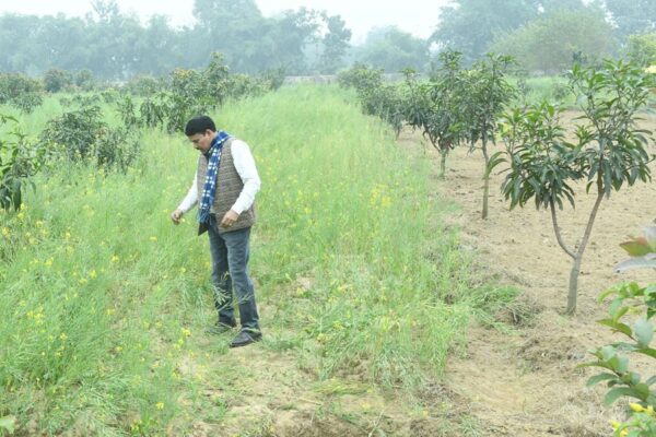 Soil Health : बाग लगाने से पहले जानें मिट्टी की सेहत