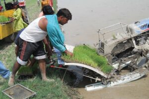 Rice Transplanter: धान में डालें जान मैट नर्सरी और राइस ट्रांसप्लांटर