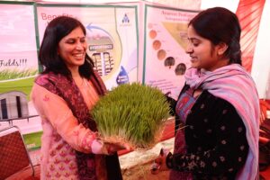 Mat Nursery : क्या है मैट नर्सरी  और कैसे करें तैयार