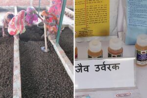 Soil Health : मिट्टी का च्यवनप्राश जैविक खाद