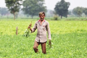 Landless Farmers: बंटाईदारों को भी मिल सकेगा कृषि योजनाओं का लाभ