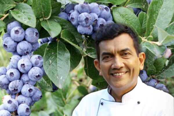 US Blueberry : मुंबई में बड़ा लॉन्च, भारतीय बाजार पर बड़ी नजर