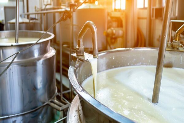Dairy Plant : पश्चिम बंगाल में अमूल का लगेगा सबसे बड़ा प्लांट
