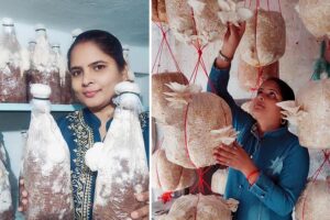 Success Story : मधु पटेल – तीन हजार से लाखों तक का सफर