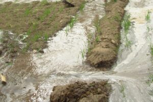 Soil Conservation : मिट्टी बचाने की आधुनिक तकनीकें