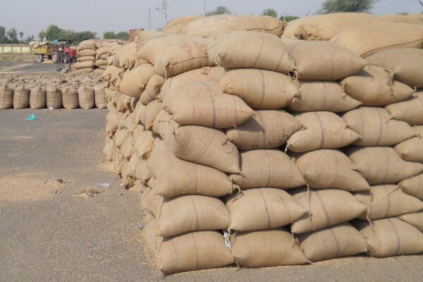 Wheat Procurement 2026: सरकार ने गेहूं खरीद का लक्ष्य किया पूरा