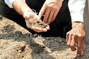 Rajasthan Soil : 13 मिट्टियों का स्थान राजस्थान