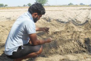 Soil : राजस्थान की मिट्टी की उर्वरता