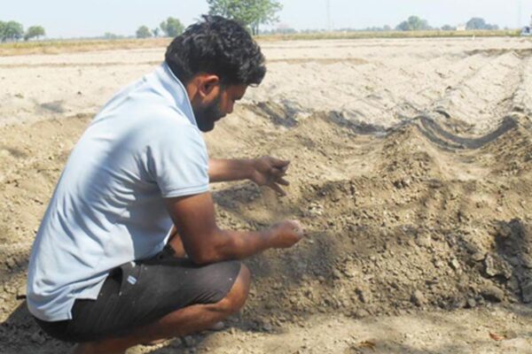 Soil : राजस्थान की मिट्टी की उर्वरता