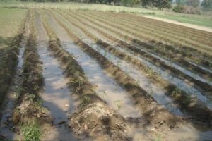 Soil Erosion Control : पहाड़ी इलाकों में मिट्टी बचाव
