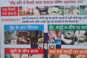 Animal Care : पशुओं के दुश्मन बैक्टीरिया