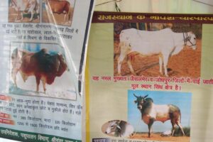 Animal Breed : नस्ल सुधार से आया बदलाव