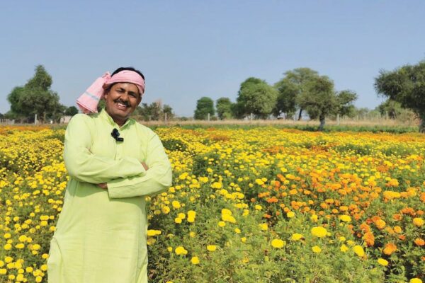 Aromatic Plants : ऊसर जमीन में खुशबूदार पौधों की खेती