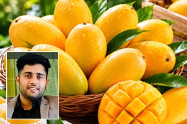 Mango : आम की मिठास का स्वाद, बस इन बातों को रखें याद