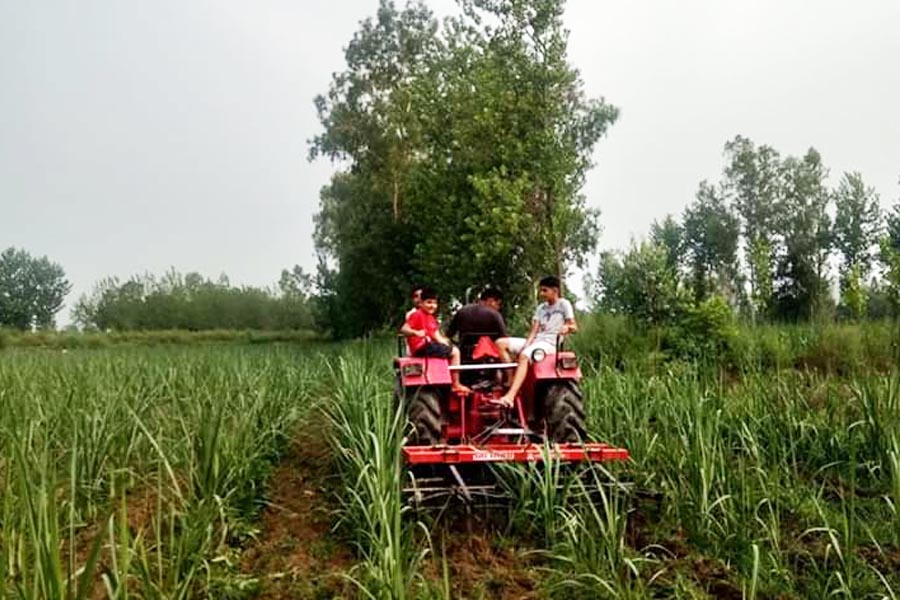 Subsidy : गन्ना किसानों के लिए आधुनिक कृषि यंत्रों पर मिलेगी सब्सिडी