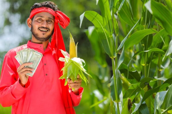 Crop Insurance: 11 फसलों के लिए खुला बीमा, मौका न गंवाएं किसान