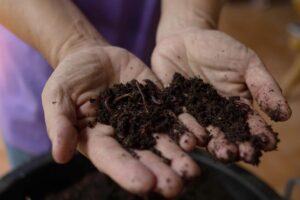 Vermicompost : कैसे बनाएं केंचुआ खाद