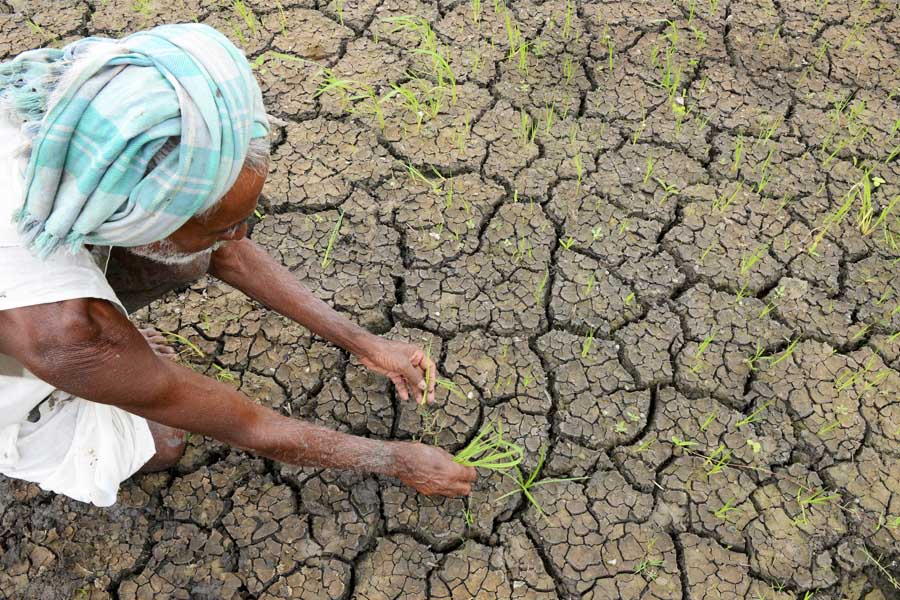 Monsoon : कमजोर मानसून से चिंतित किसान, सरकार की क्या है तैयारी ?