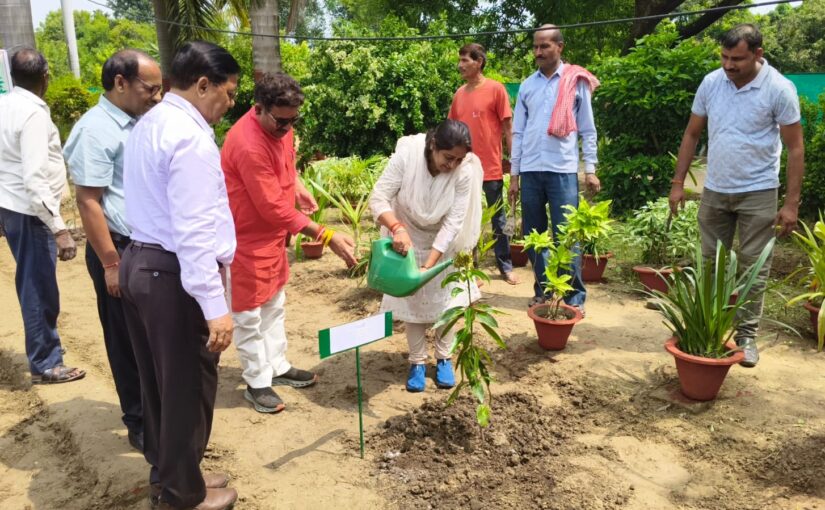 Tree Plantation : “एक पेड़ माँ के नाम”  से दिया परिवार संरक्षण का संदेश