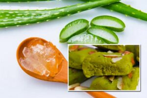 Aloe Vera Barfi : अब एलोवेरा से बनेगी स्वाद और सेहत से भरपूर बर्फी