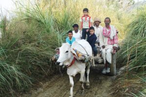 Livestock : टिकाऊ खेती में पशुधन की अहमियत