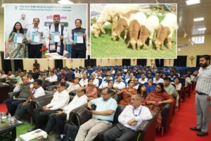 Avishaan Sheep Breed : बनेगी भारतीय कृषि की गौरवशाली पहचान