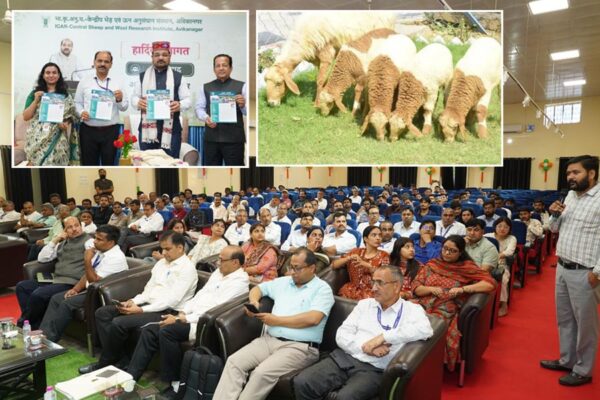 Avishaan Sheep Breed : बनेगी भारतीय कृषि की गौरवशाली पहचान
