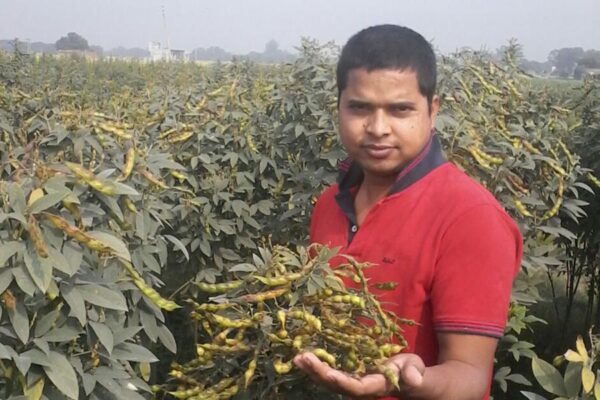 Pulses Seed : खुद के बीज से लहलहातीं दलहनी फसलें