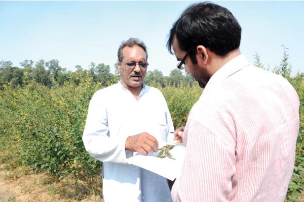Arhar Seeds : कैसे करें अरहर का बीज तैयार