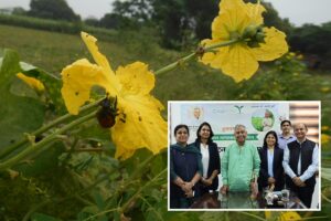 Pesticides : कैसे पहचानें असली और नकली कीटनाशक, जानें