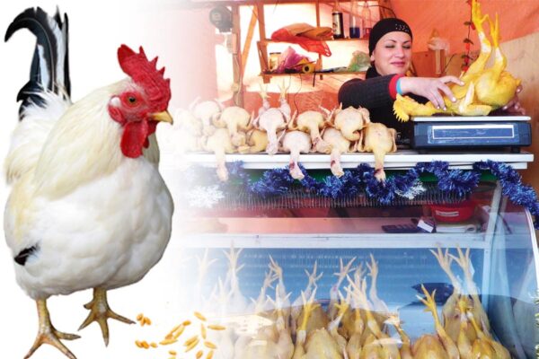 Meat Business : मीट के कारोबार से बढ़ाएं आमदनी