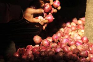Cold Storage :  बनाएं प्याज भंडारण ढांचा, सरकार देगी अनुदान